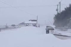 Sněhová bouře sužuje Irsko. Přívaly sněhu ochromily dopravu a zavály obchody