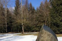 Památník v Letech? Jen likvidace prasečáku bude stát 120 milionů, jsou tam ještě vepři, říká Strašák