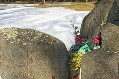 Prasečí hlava, kterou kdosi položil k památníku v Letech.