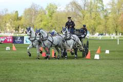 jezdectví, čtyřspřeží, Jiří Nesvačil