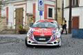 Peugeot Rallye Cup - Peugeot 208 R2