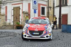 Peugeot Rallye Cup - Peugeot 208 R2