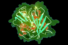 Američtí a britští vědci vyrobili náhodou enzym, který rozloží plastové lahve