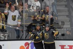 hokej, NHL 2017/2018, Vegas - Washington, Tomáš Nosek (vpravo) a Ryan Reaves