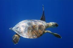 Nové položky na seznamu světového dědictví UNESCO