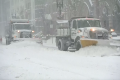 Sněhová bouře trápí východ USA, na jihu padali leguáni ze stromů