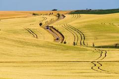 Fotografové z celého světa žasnou. Novým divem se pro ně stala pole u Kyjova
