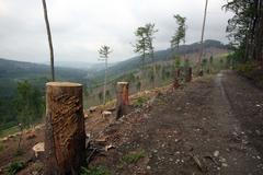 Největší kůrovcová kalamita od dob Marie Terezie ohrožuje nejcennější částí CHKO Jeseníky