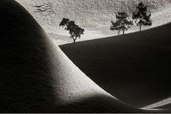 Martina Aubrechtová - Virtuální světy