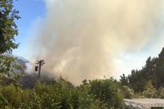 Lesní požár v Kalifornii