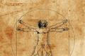 Vitruviánský muž kresba Leonardo da Vinci