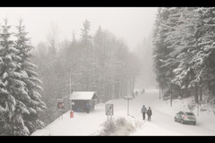 V Krkonoších hustě sněží. Záběry ze Špindlerova mlýna