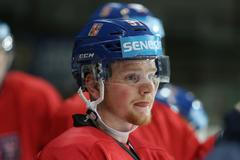 Sraz hokejové reprezentace před MS 2018: David Kaše