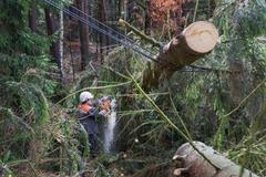 Poničené elektrické vedení