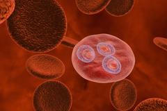 Parazit Plasmodium vivax - malárie