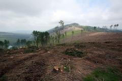 Ekologická katastrofa v Jeseníkách obrazem. Kůrovcová kalamita, jaká tu ještě nebyla