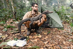 Čeští vědci objevili nový druh krokodýla. Nyní pracují na jeho uznání