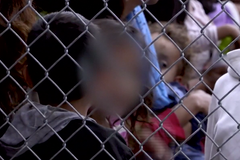 Děti migrantů oddělené na hranicích od rodičů skončily v texaském detenčním zařízení