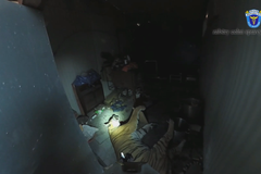 Mrtvý tygr i další exotická zvířata. Celní správa zveřejnila video ze zásahu