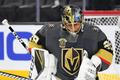 NHL 2017/18: Vegas Golden Knights