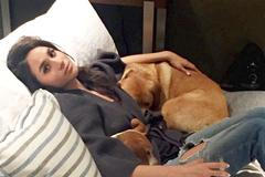 Pes Meghan Markleové