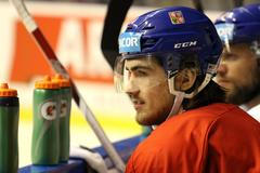 Česká hokejová reprezentace před MS 2018