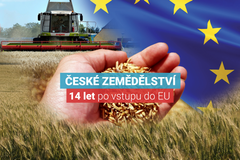 České zemědělství 14 let po vstupu do EU