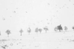 Jiřina Hankeová - snímky z výstavy v galerii Art in Box