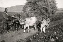 Nepoužívat / Jednorázové použití / Fotogalerie / Makedonští Romové očima německých vojáků / WWI. / 20