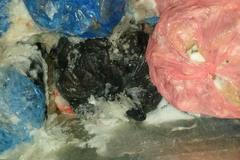 Kontrola SZPI v SAPA