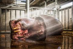 Czech Nature Photo 2018 - snímky z výstavy