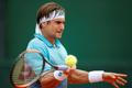 David Ferrer na French Open 2018
