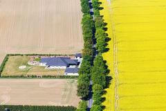 Řepkoland - letecké pohledy na žlutá řepková pole, zabírající více než desetinu půdy