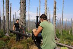 Bezzásahové zóny v Národním parku Šumava se obnovují.