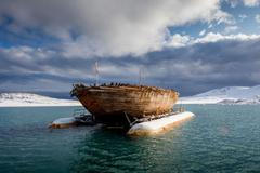 Nepoužívat / Jednorázové užití / Fotogalerie / Amundsen / Maudreturnshome.no / 44