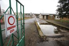 Z vepřína v Letech firmy AGPI odvážejí poslední prasata, 14.3.2018