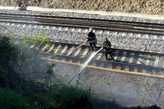 Požár lesa u železniční trati u obce Pňovany