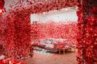 Yayoi Kusama - Melbourne