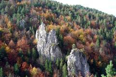 Fotosoutěž: Můj podzim - Jiří Piták