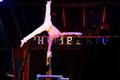 Cirkus Humberto