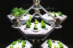 Hexagro‘s Living Farming Tree