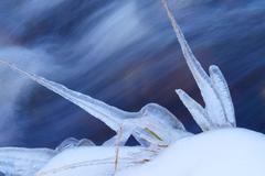 Mrazivá rána a na horách sníh? Předpověď prozradí, jaké bude počasí o víkendu