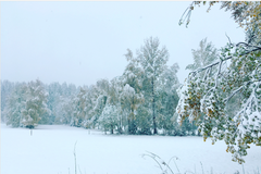 Šumava první letošní sníh