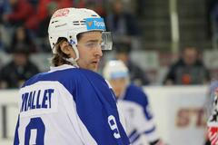 HC Kometa Brno - HC Energie Karlovy Vary, 45. kolo ELH