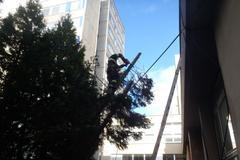 Hasič, strom, vichřice