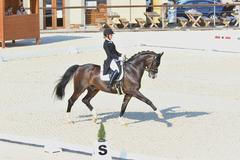 jezdectví, drezura, Libuše Mencke