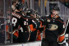 Andrej Šustr (Anaheim Ducks)