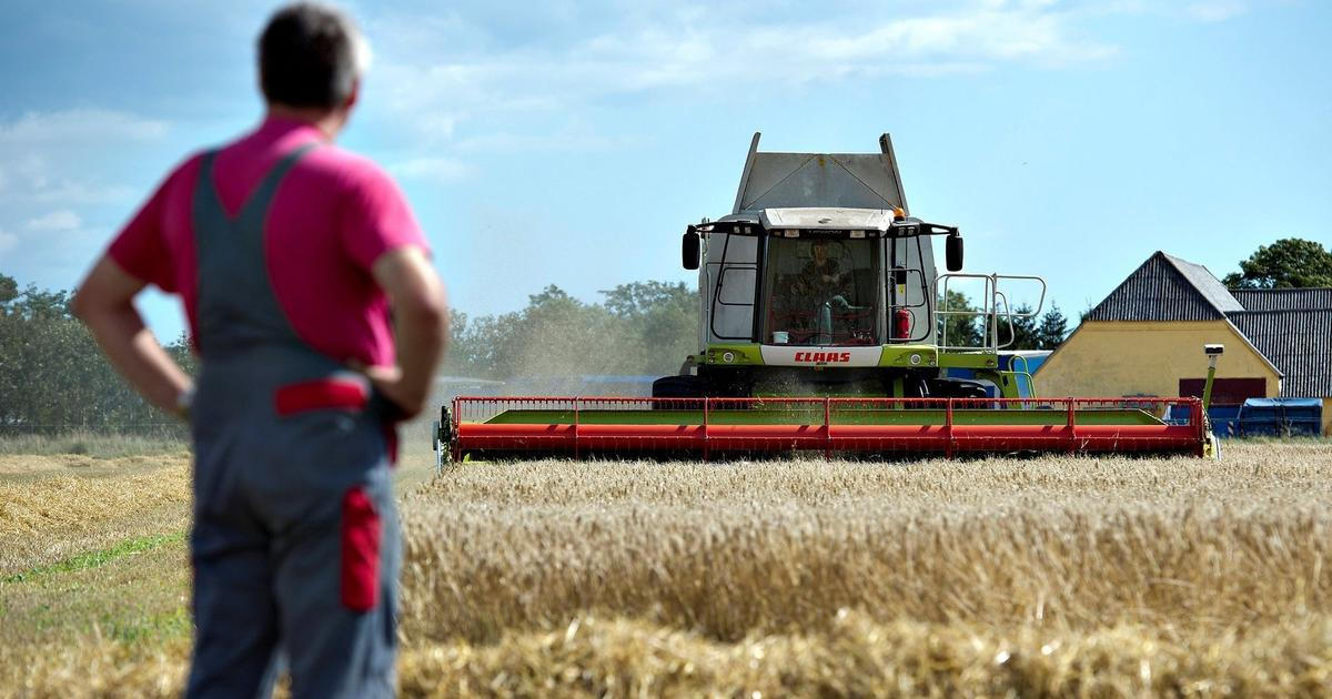 Kdo má pod palcem dotace a čím jsou čeští zemědělci v Evropě unikátní? Zkuste si náš kvíz