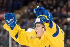 MSJ 2019, Švédsko - USA