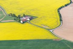 Řepkoland - letecké pohledy na žlutá řepková pole, zabírající více než desetinu půdy